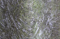 Northwood fibreglass roof work